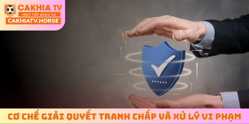 Cơ chế giải quyết tranh chấp và xử lý vi phạm