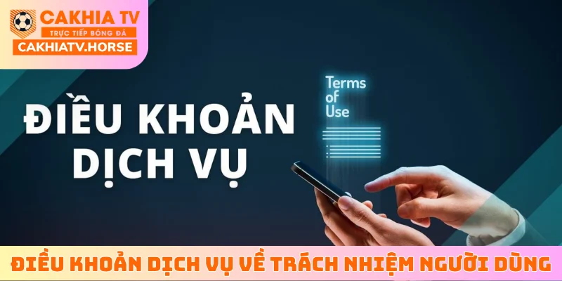 Điều khoản dịch vụ về trách nhiệm của người sử dụng dịch vụ